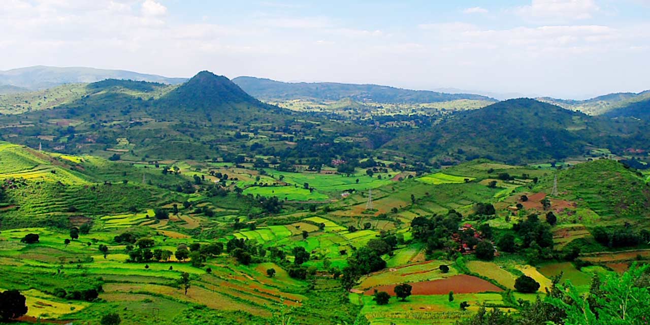 araku-valley-a-hill-station-surrounded-by-forests-rich-in-biodiversity-and-home-to-tribals-and-coffee-farms-img